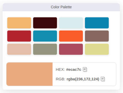 Example of HEX & RGB Color Codes Extracted from an Image Using Our Color Picker