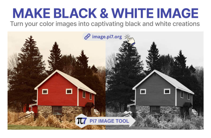 Convert your color image to black and white with Pi7's Image Tool